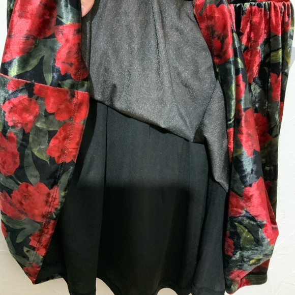 Petal & Pup Anders Floral Burnout Velvet Minidress Black Red Sz Small - Picture 13 of 14